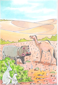 Le lièvre, le chameau et l'hippopotame